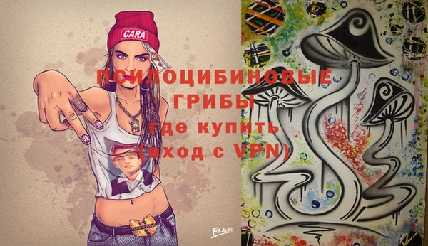 скорость Алексин