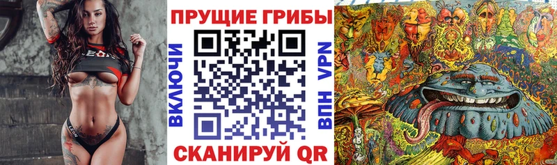 купить наркотики сайты  blacksprut ONION  Псилоцибиновые грибы мицелий  Мичуринск 